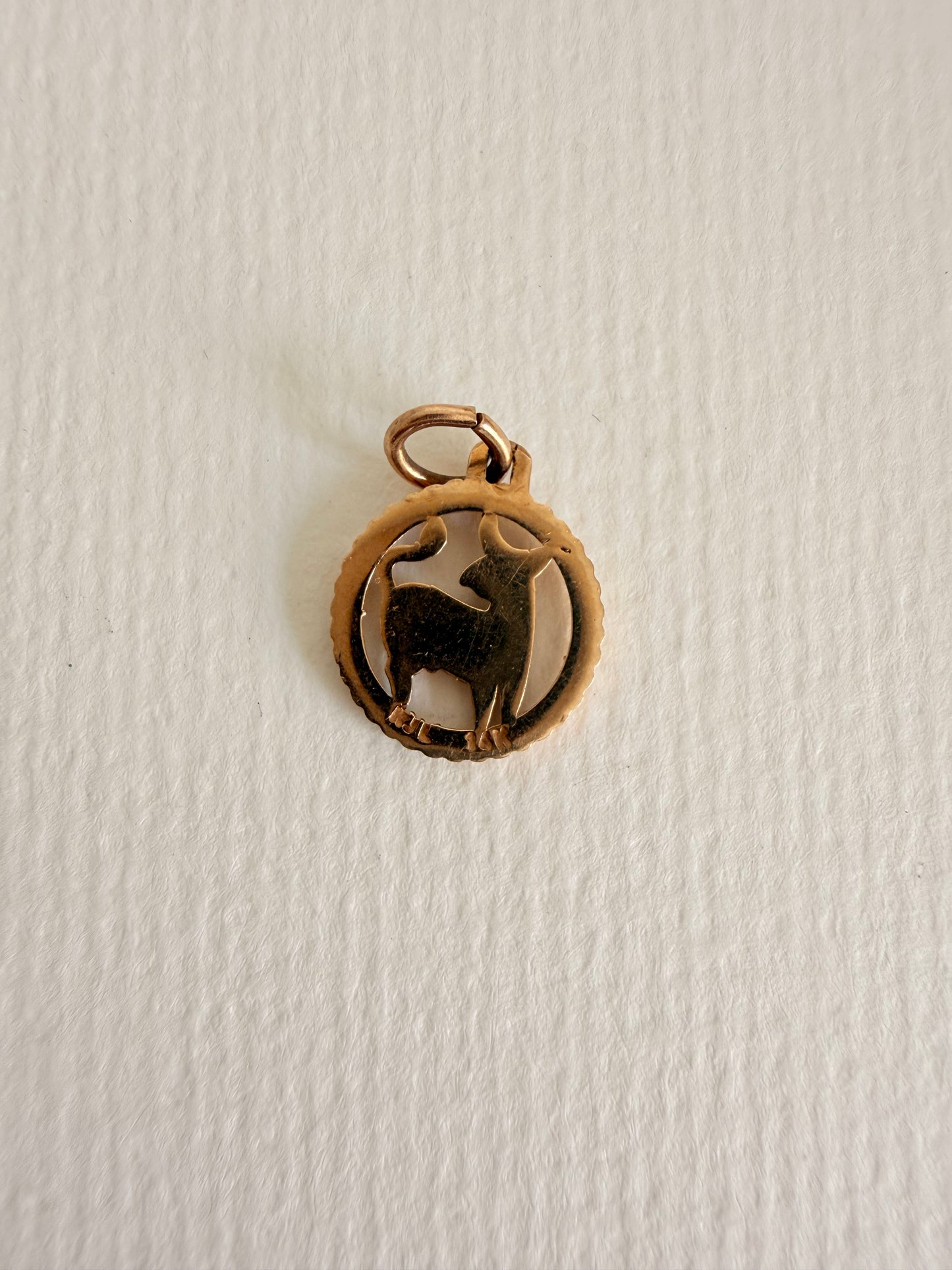 14k Vintage Texture Round Taurus "Toro" Charm