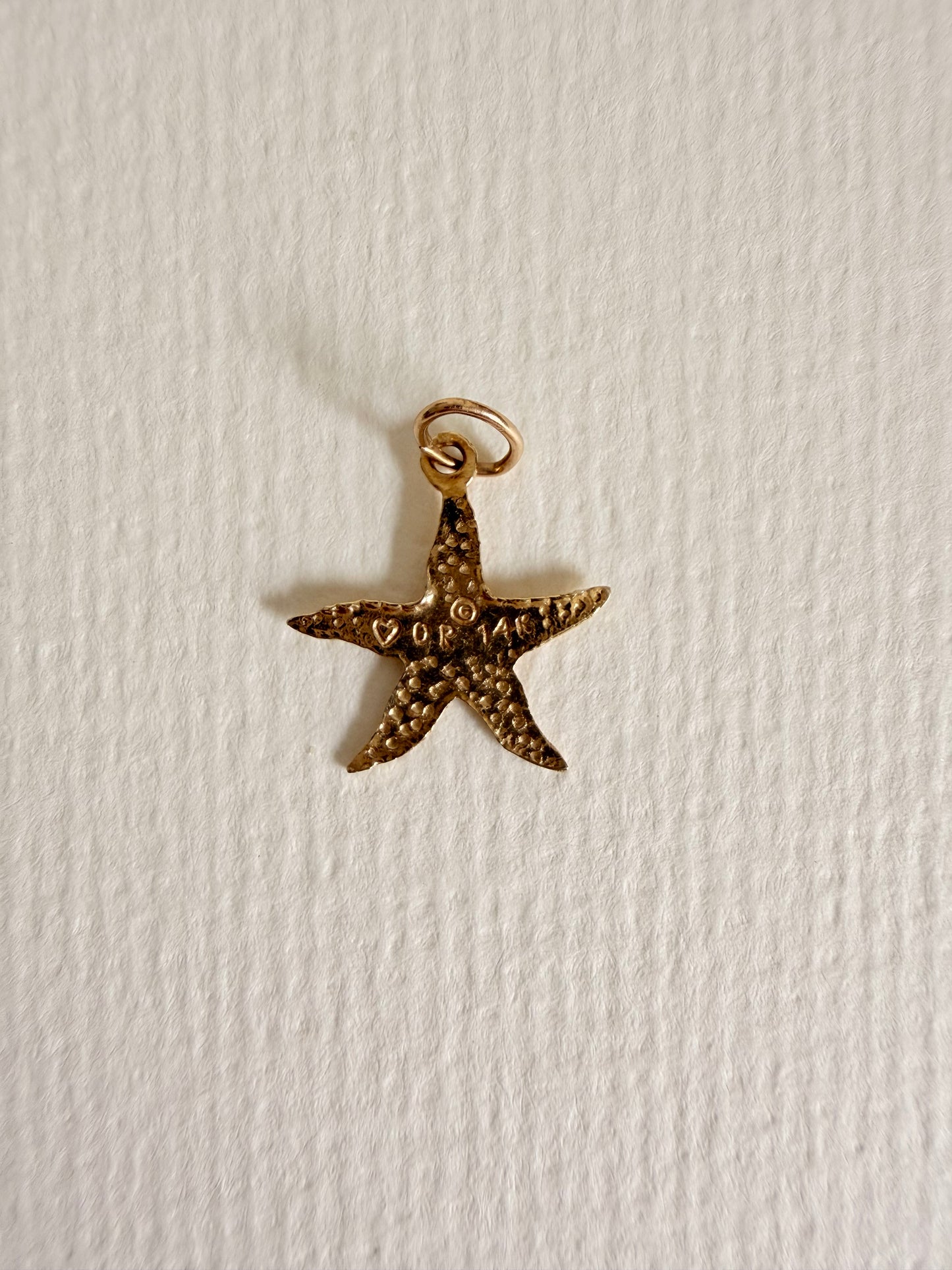 14k Textured Starfish Charm