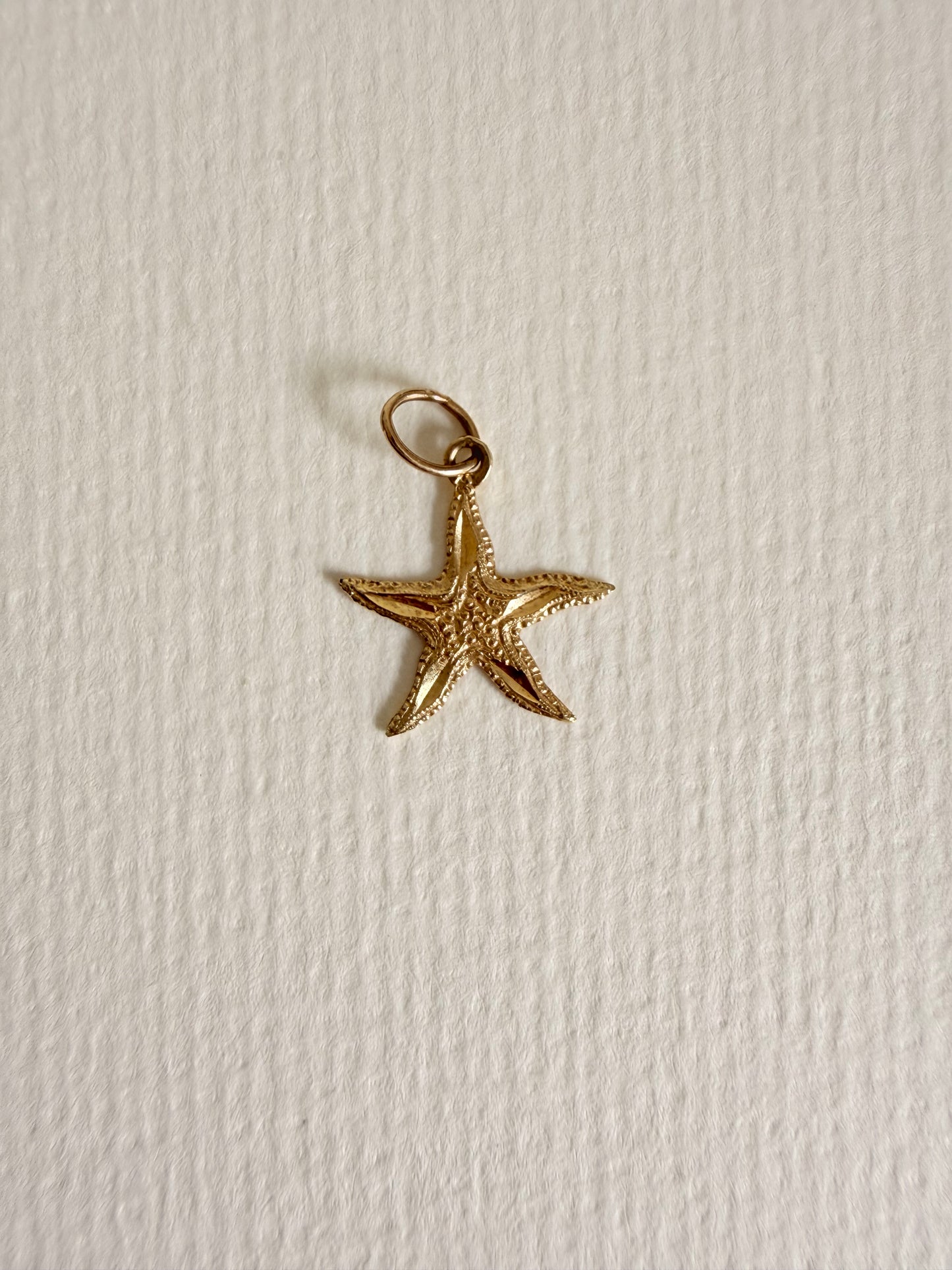 14k Textured Starfish Charm