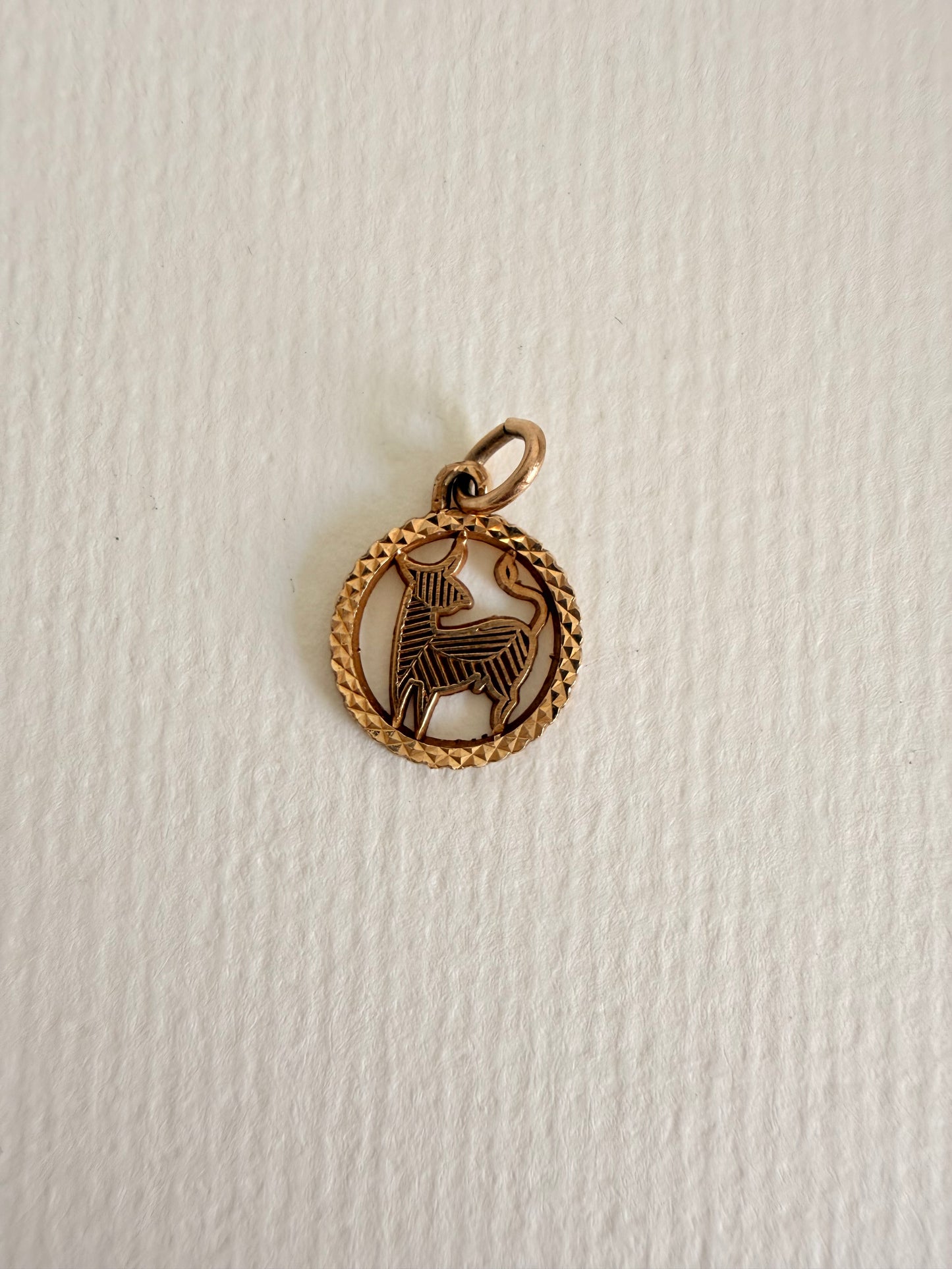 14k Vintage Texture Round Taurus "Toro"  Charm