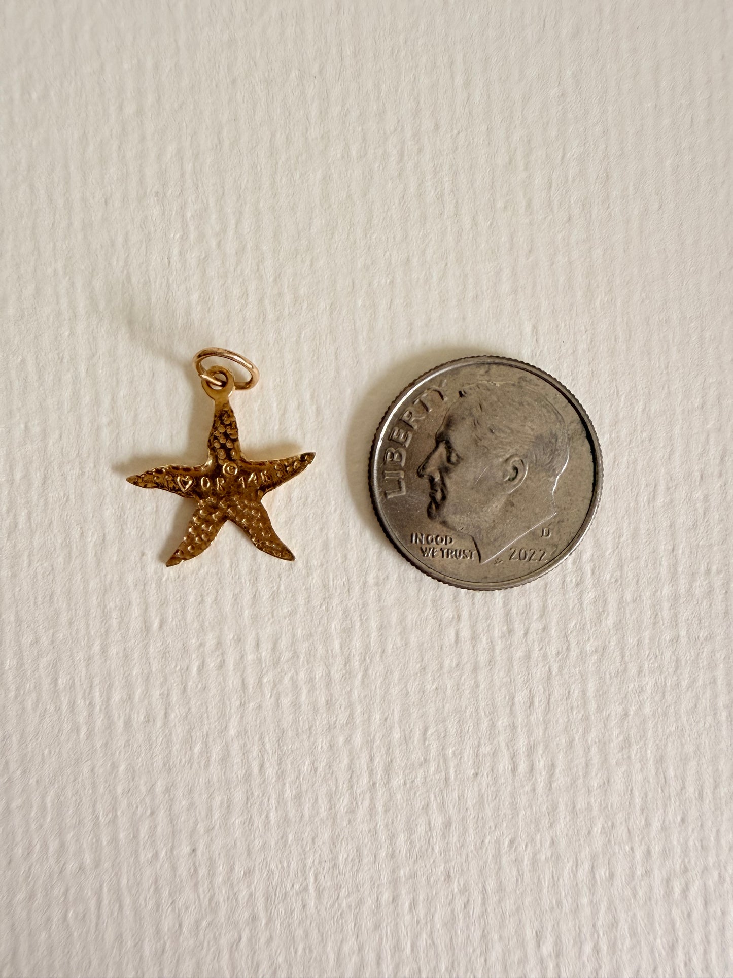 14k Textured Starfish Charm